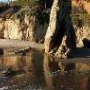 El Matador State Beach @ Robert H. Meyer Memorial State Beach (SB) - CFC