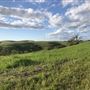 Enney Ranch @ Paso Robles
