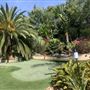 Enchanted Elfin Forest Home  on 2 private acres
