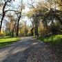 Samuel Ayer Park