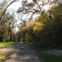 Samuel Ayer Park