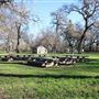 Cone Grove Park