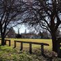 Gerber Park