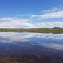 Payne's Creek Wetlands