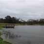 Sacramento River Bend