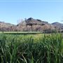 Meadowbrook Ranch