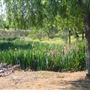 Lema Ranch Trail