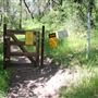 Black Swan Trail