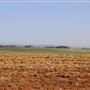 Wheatland