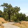 Austin Creek State Recreation Area (SRA)