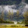Humboldt Lagoons State Park (SP) / Big Lagoon, Stone Lagoon, Dry Lagoon & Freshwater Lagoon