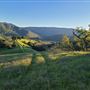 Santa Cruz Mountains/Santa Clara Valley Vineyard/Victorian Location - Gilroy, CA