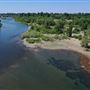 American River