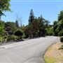 Arden Oaks
