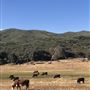 Garbani Ranch