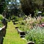 Sacramento Historic City Cemetary