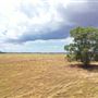 Various Rural Farms And Ranches