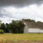 Various Rural Farms And Ranches