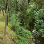 Various Rural Farms And Ranches