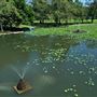 William Land Regional Park