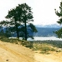 Forest Service Road 2N71 East of Lookout