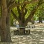 McConnell State Recreation Area (SRA)