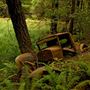 Mendocino Woodlands State Park (SP)