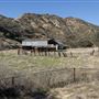 Wildwood Canyon Park Property