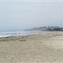 Zmudowski State Beach (SB)