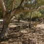 Rancho San Andres Castro Adobe Park Property