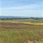 Oroville Wildlife Area - California Department of Fish & Wildlife (CDFW)