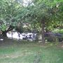 Hollyhock Country Ranch