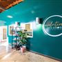 Evolution Dance Studios