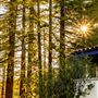 The Stavrand Russian River Valley