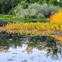 Anderson River Park