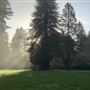 Camp Russian River