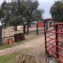 Red Thorne Ranch / The Barn Loft / Mini Petting Zoo