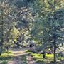 Canyon Ranch