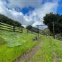 Canyon Ranch