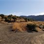 Canyon Ranch