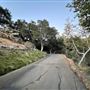 Canyon Ranch