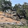 Canyon Ranch