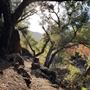 Canyon Ranch