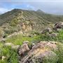 Canyon Ranch