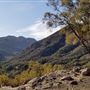 Canyon Ranch