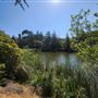 Franklin Canyon Park - Santa Monica Mountains Conservancy - SMMC