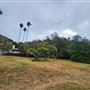 Franklin Canyon Park - Santa Monica Mountains Conservancy - SMMC