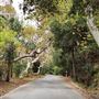 Franklin Canyon Park - Santa Monica Mountains Conservancy - SMMC