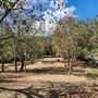 Franklin Canyon Park - Santa Monica Mountains Conservancy - SMMC