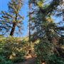 Franklin Canyon Park - Santa Monica Mountains Conservancy - SMMC